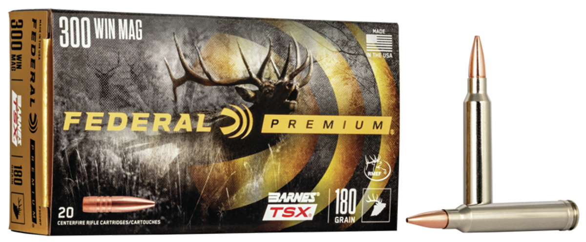 Federal Premium, Fed P300wp         300     180 Btsx          20/10