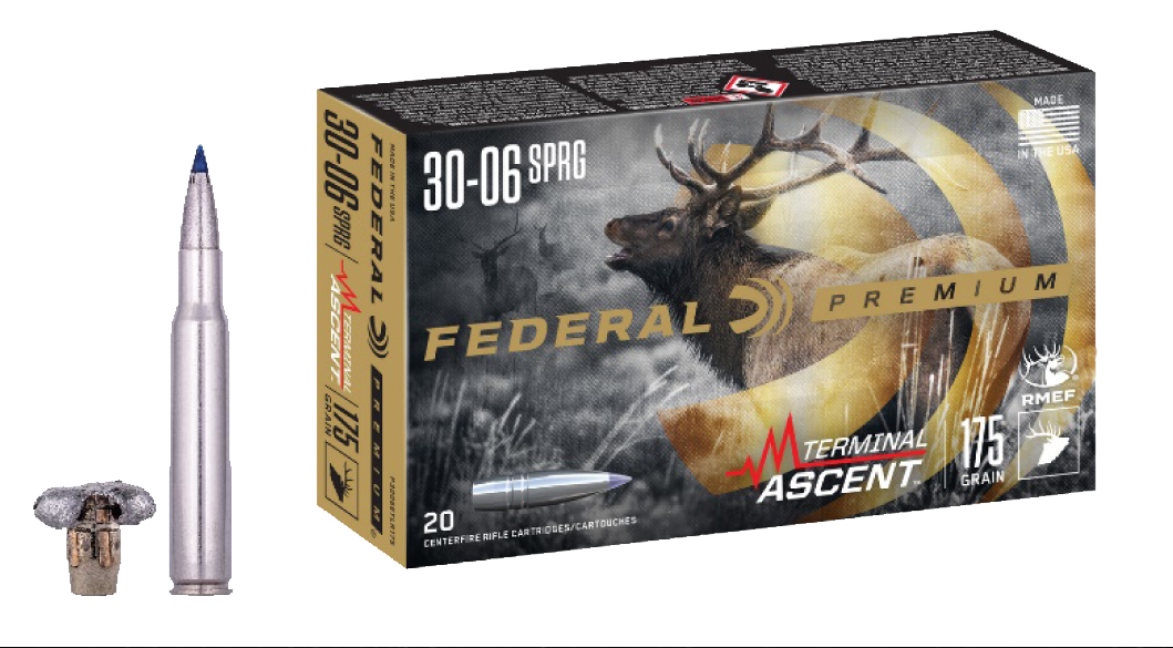 Federal Premium, Fed P3006ta1       3006    175 Term Ascent   20/10