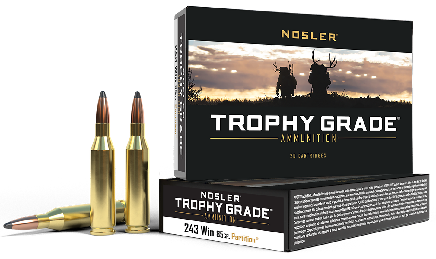 Nosler Trophy Grade, Nos 60002        243win    85 Pt             20/10